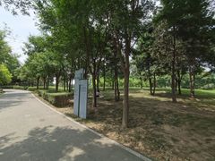 -洨河生态公园