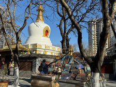 -护国法轮寺