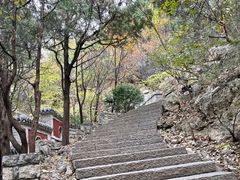 -佛慧山