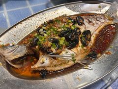 -石岐乳鸽村(南海第三分店)