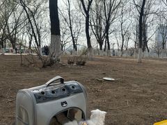 -长白岛森林公园