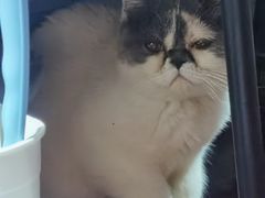 -美迦爱-牙专科·兔科·骨科诊疗中心(北苑店)