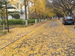 -山东师范大学(千佛山校区)