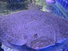 -老李家土菜馆·安吉地标美食