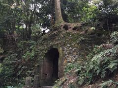 -缙云山景区