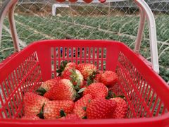 -白鹭湾湿地公园