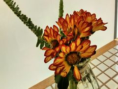 -小满Grainkitchen(滨江商业广场店)