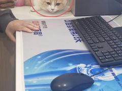 -美迦爱-牙专科·兔科·骨科诊疗中心(北苑店)