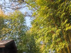 -崇阳三特浪口温泉