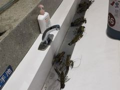 -虾胡闹龙虾馆(湄南河店)