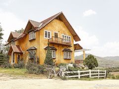 -黄色小屋