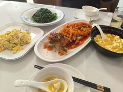 -大鸿运酒店·苏州菜·松鼠桂鱼(观前街店)