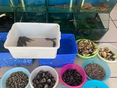 -海之鲜大排档(东山海鲜金銮湾店)