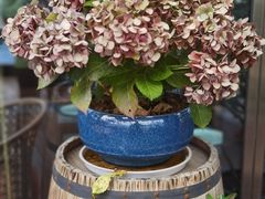 -MONICH牛排融合餐厅(和义大道购物中心店)