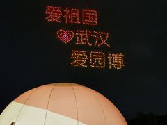 -武汉园博园(武汉自然博物馆)