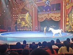 -珠海横琴长隆《卡卡虎奇遇记》