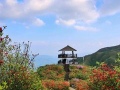 -大围山国家森林公园