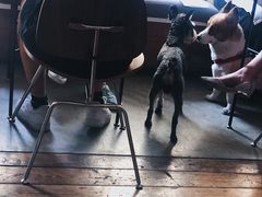-the rug 飞毯 (朝阳公园店)