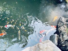 -新荣记(西溪湿地店)