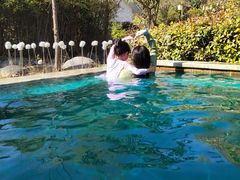 -郑州银基黄帝宫御温泉