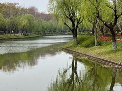 -上海鲜花港