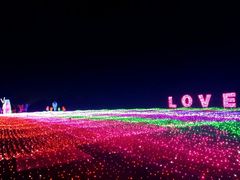 -杭州湾海上花田景区