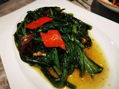 油麦菜-大树餐厅(红旗街万达店)