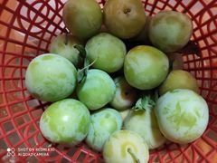 -呼吸森林·生态农庄农家乐私房菜