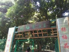 android_upload_pic-宝岩生态观光园
