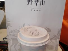 -野萃山·潮汕厚果汁(十亩地店)