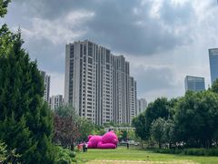 -大望京公园