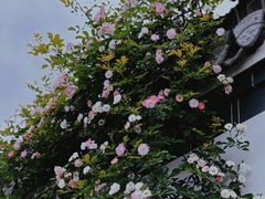 -西溪南古村落景区