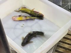 -夏家大锅台炖鱼馆