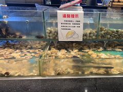 -钱小奴创意自助餐厅·原切谷饲安格斯畅吃(宁波慈溪爱琴海店)