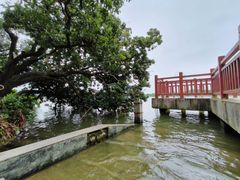-鹤之洲湿地公园
