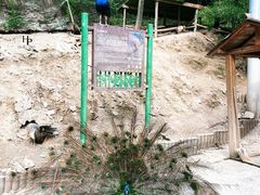 -栾川竹海野生动物园