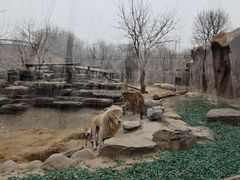 -北京野生动物园