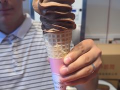 -萨朗刀克冰淇淋雪花凉(植物园店)