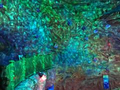 -青岛嘉年华主题乐园