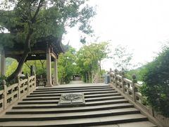 -长广溪湿地公园