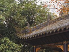 -常德桃花源景区