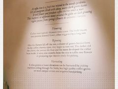 -星巴克(真如星光耀广场店)