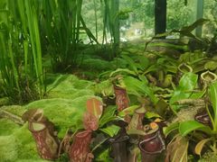 -国家植物园南园