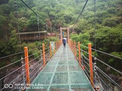 -燕子河大峡谷天坑仙境