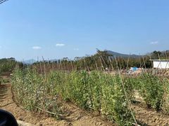 -增城大丰门漂流