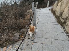 -北京凤凰岭