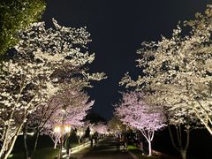 -长田漾湿地公园