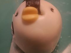 -上海柏阳君亭酒店(复旦大学店)