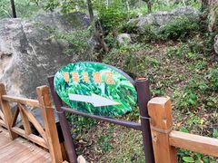 -大岭沟猕猴桃谷风景区