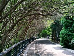 -苏州河梦清园环保主题公园